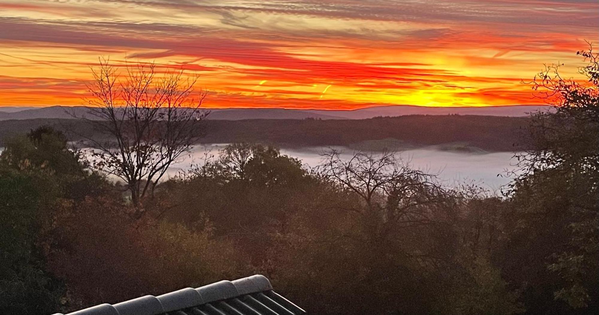 Ferienwohnung Eifel Mosel Hunsrueck Bergweiler Εξωτερικό φωτογραφία
